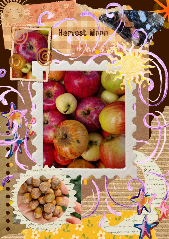 Apples