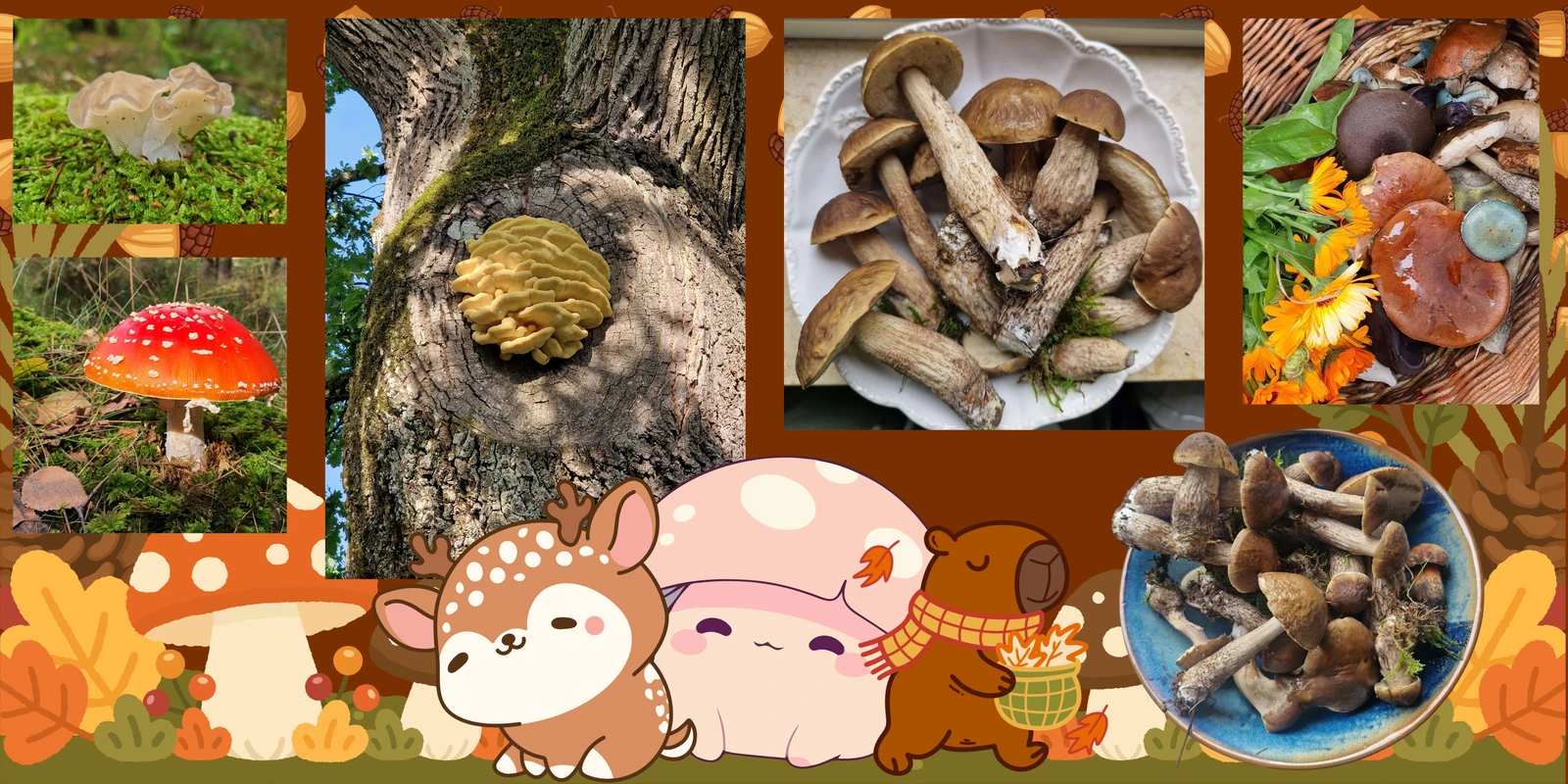 Mushrooms